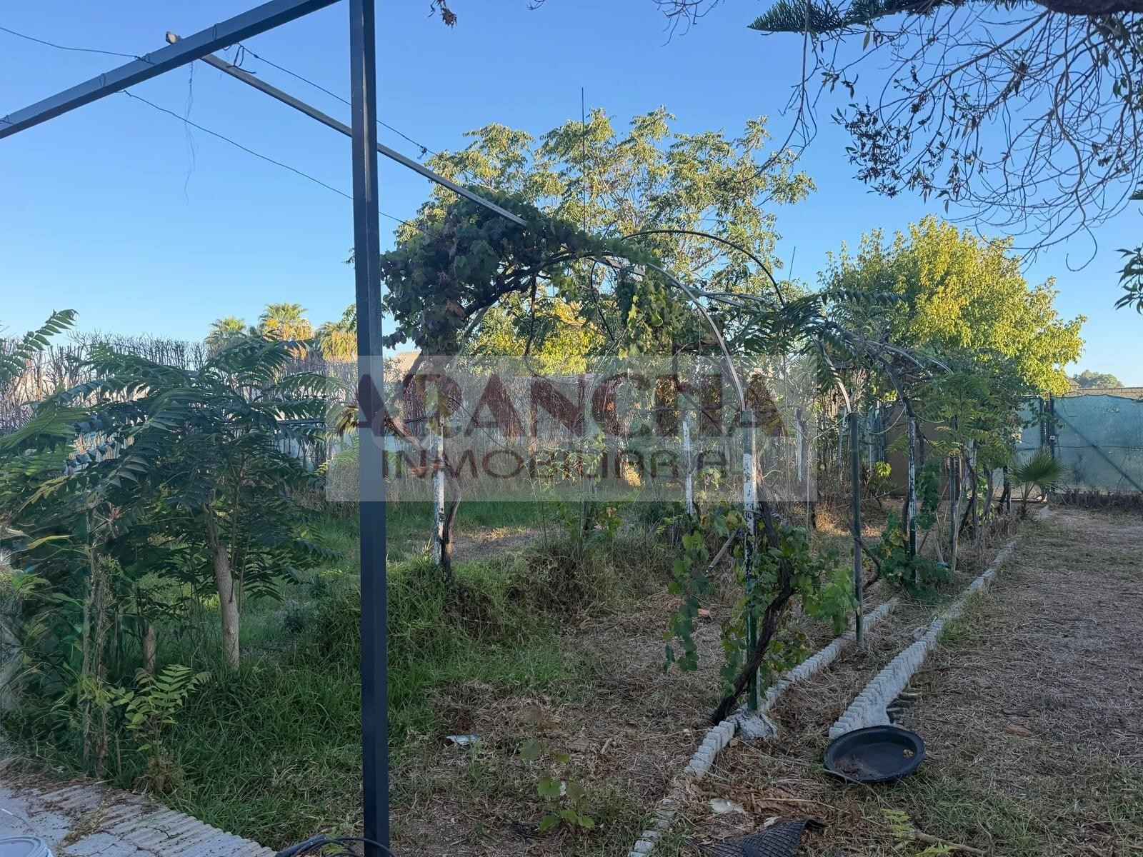 CASA DE CAMPO EN EL PINAR - foto 5