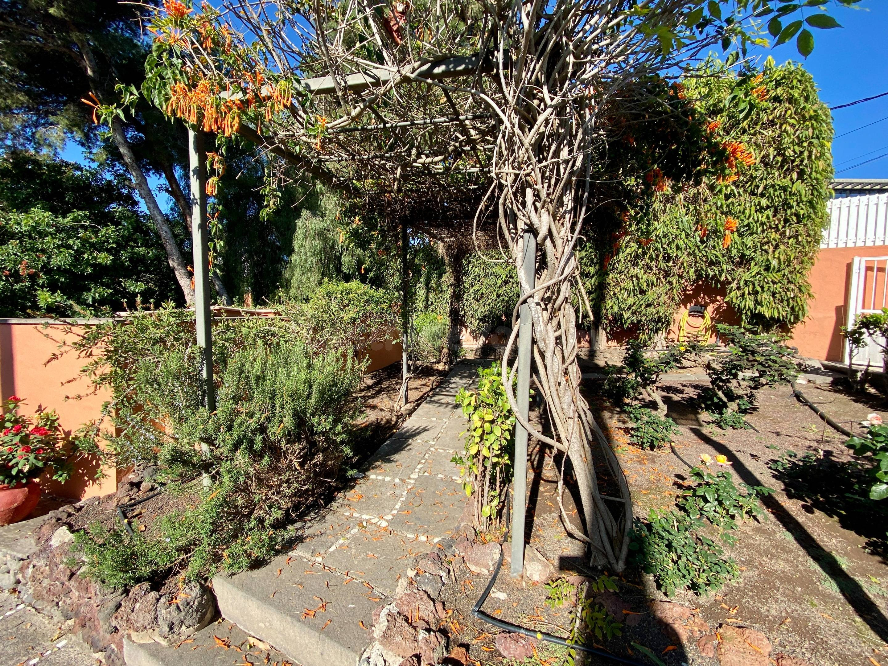 EXCLUSIVO CHALET EN ALQUILER EN LOS HOYOS - foto 5