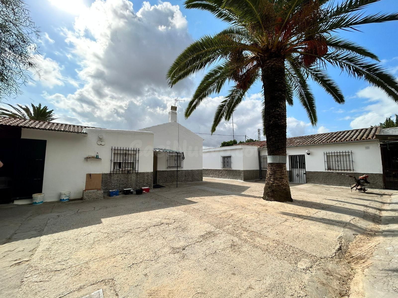 ¡¡6 HECTÁREAS DE TERRENO CON 3 CASAS, NAVES, Y TRASTEROS!! - foto 2