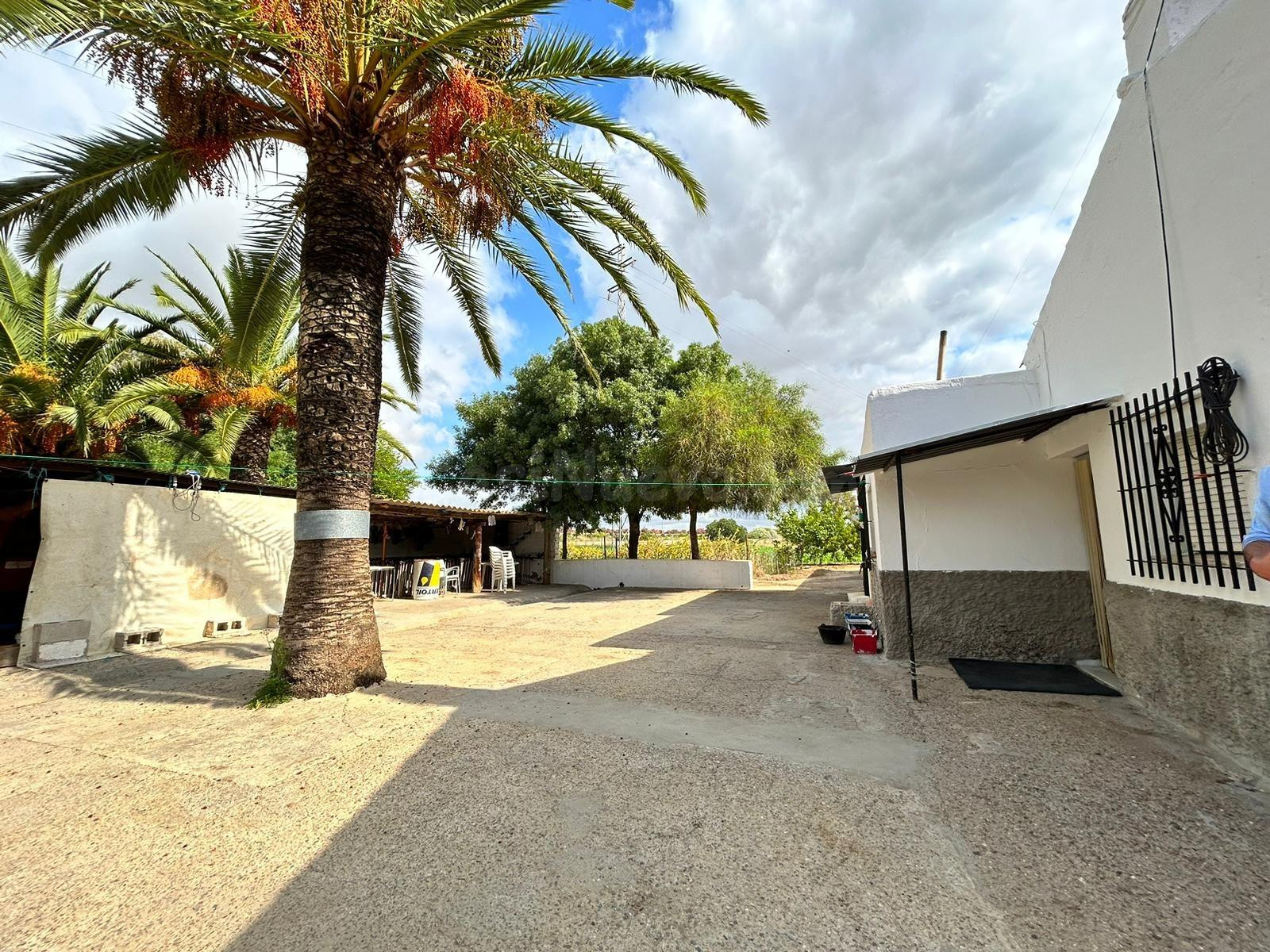 ¡¡6 HECTÁREAS DE TERRENO CON 3 CASAS, NAVES, Y TRASTEROS!! - foto 3