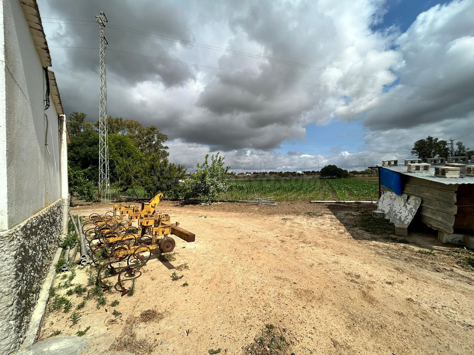 ¡¡6 HECTÁREAS DE TERRENO CON 3 CASAS, NAVES, Y TRASTEROS!! - foto 5