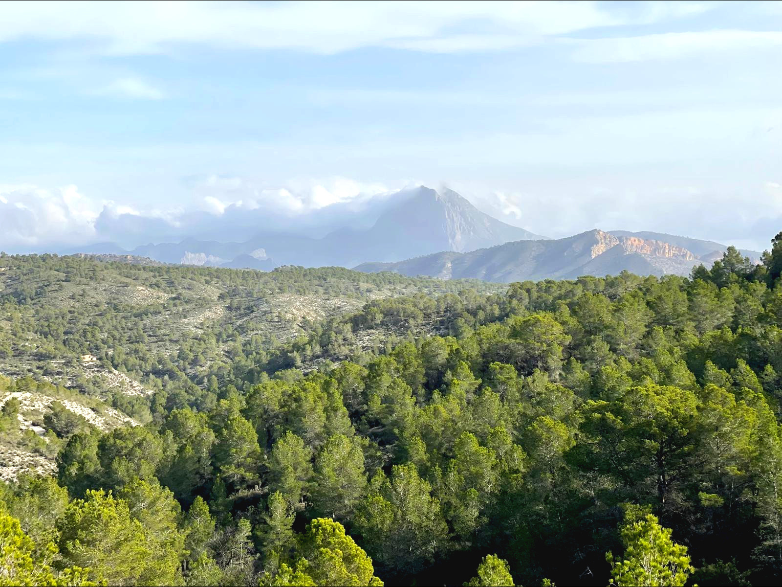 Finca rústica con casa en Relleu, cerca de Benidorm y playas - foto 2