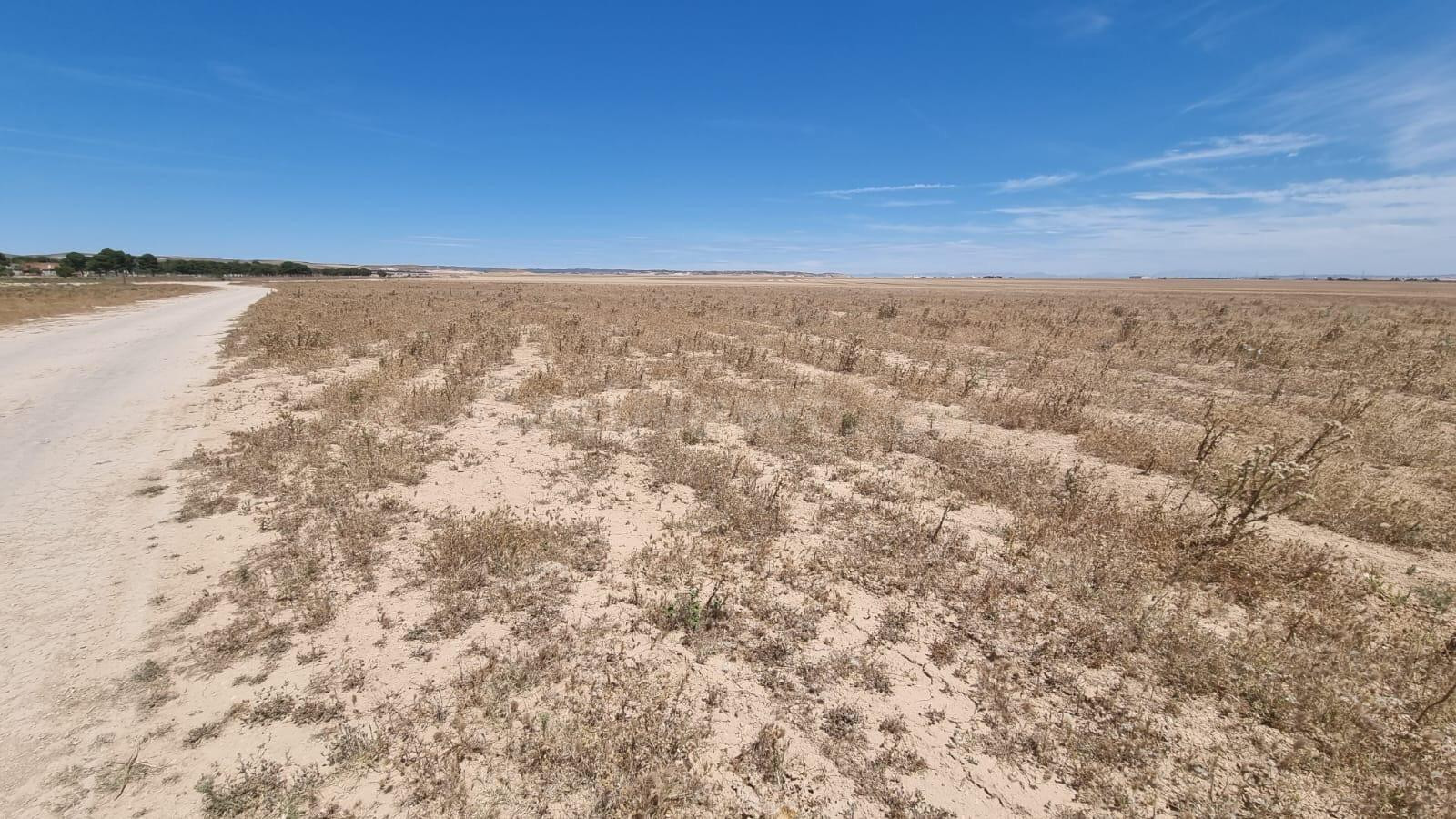 5 TERRENOS EN VENTA EN BALSA DE FORNILLÉ (VILLANUEVA DE GÁLL - foto 2