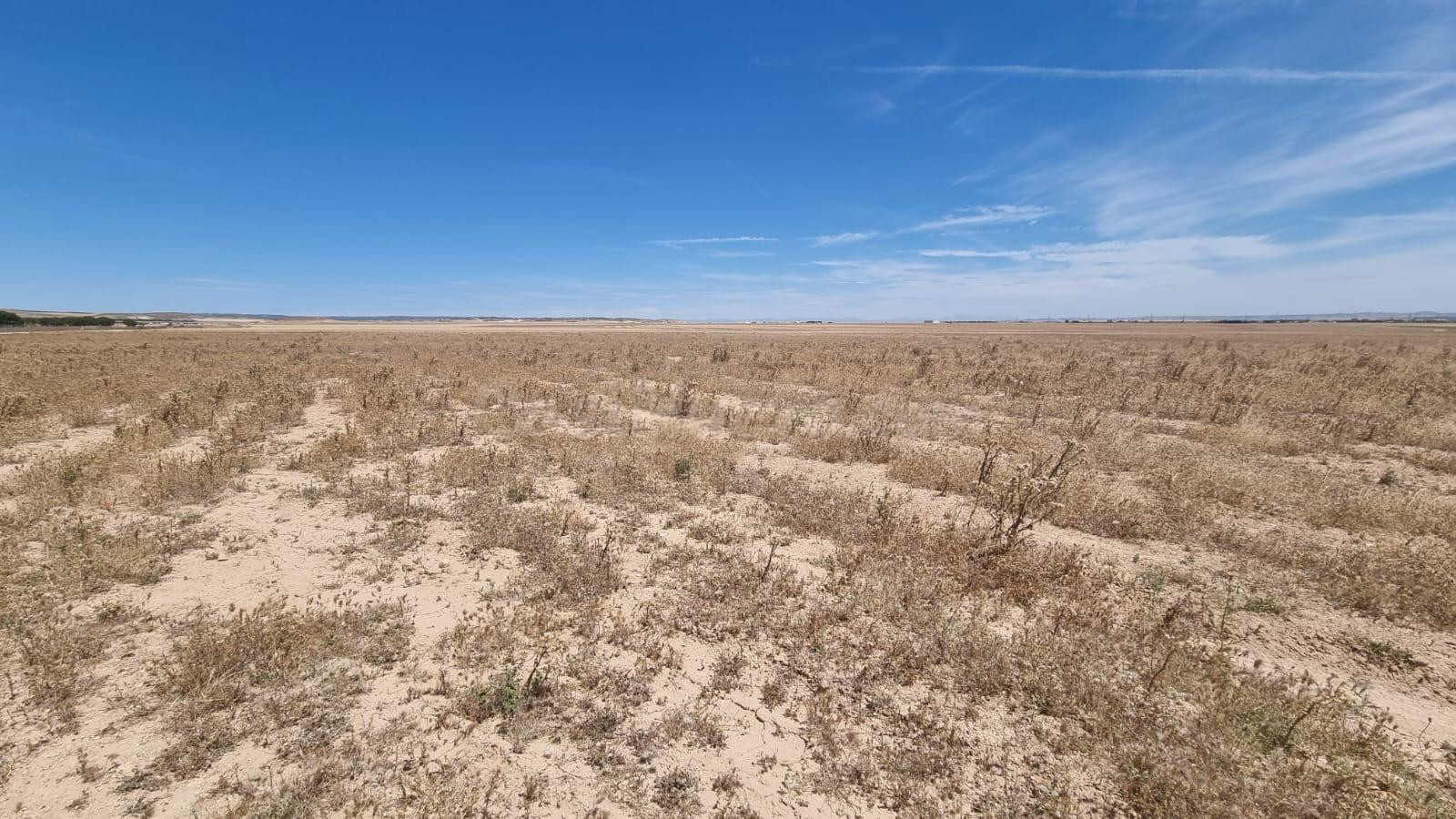 5 TERRENOS EN VENTA EN BALSA DE FORNILLÉ (VILLANUEVA DE GÁLL - foto 3