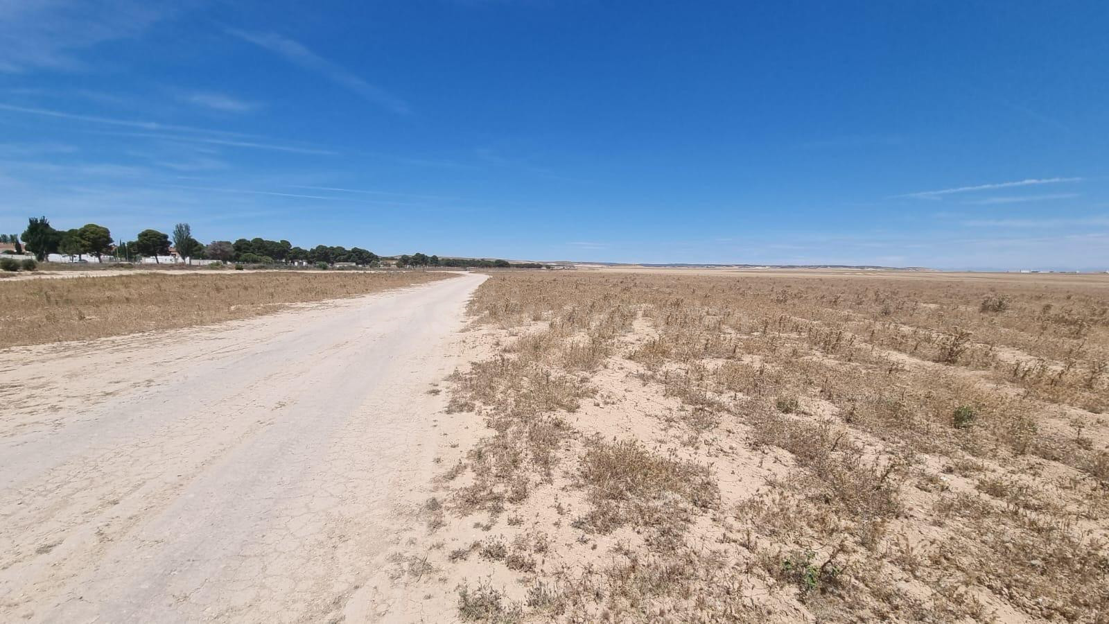 5 TERRENOS EN VENTA EN BALSA DE FORNILLÉ (VILLANUEVA DE GÁLL - foto 4