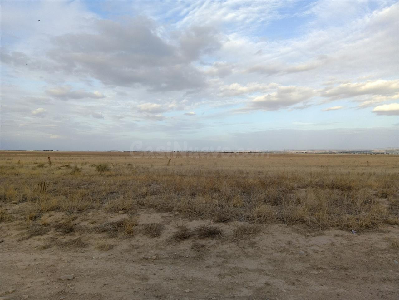 5 TERRENOS EN VENTA EN BALSA DE FORNILLÉ (VILLANUEVA DE GÁLL - foto 5