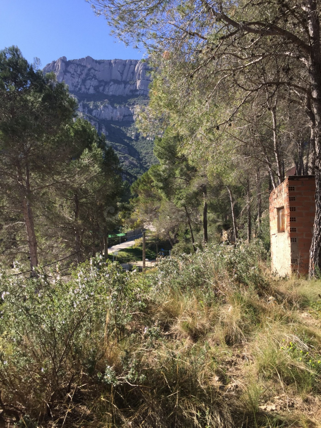 Terreno urbanizable en venta - MONISTROL - foto 4