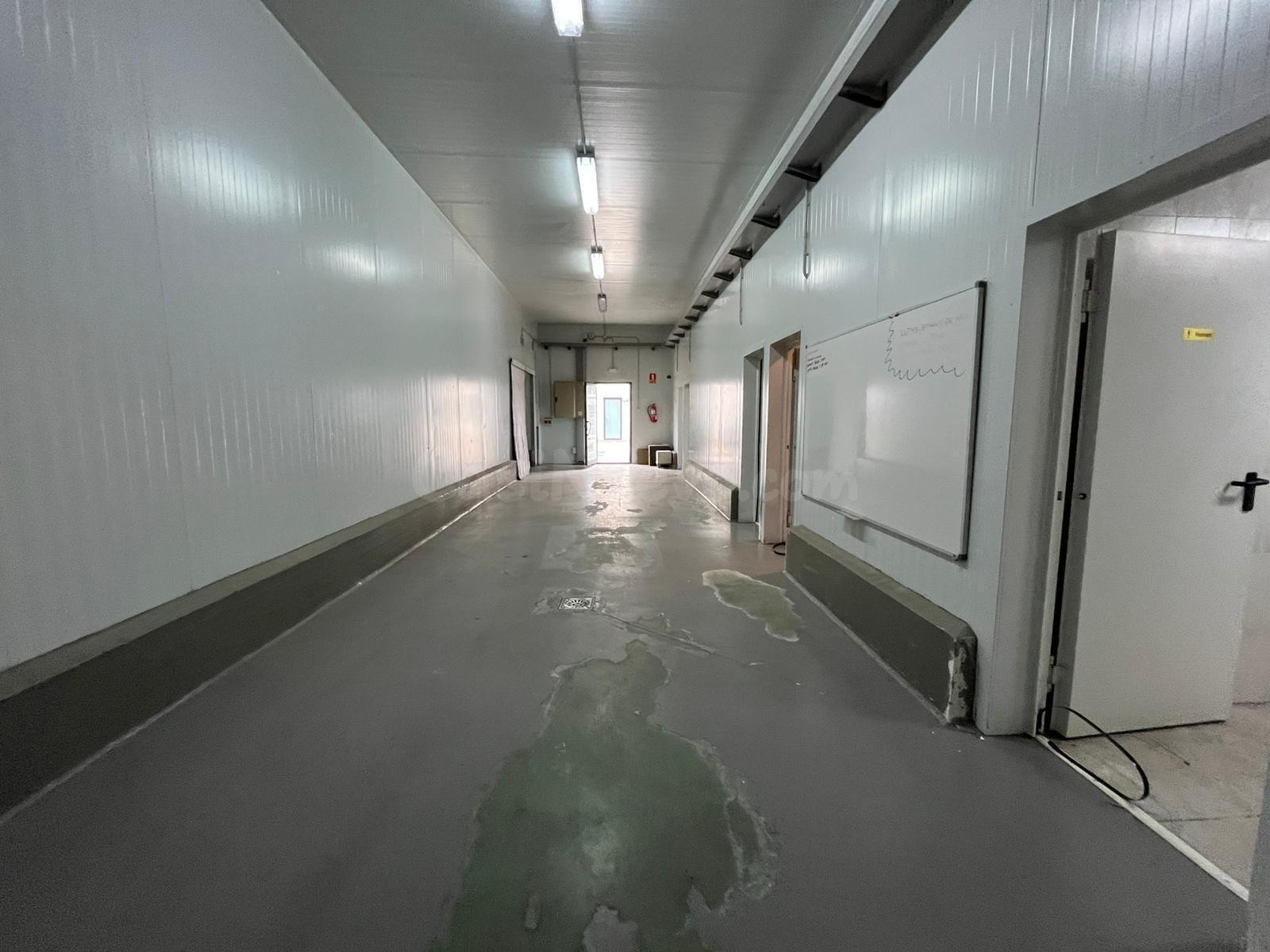 NAVE INDUSTRIAL EN ALQUILER EN ARTÉS – 600 m2 (FRIGORÍFICA) - foto 4