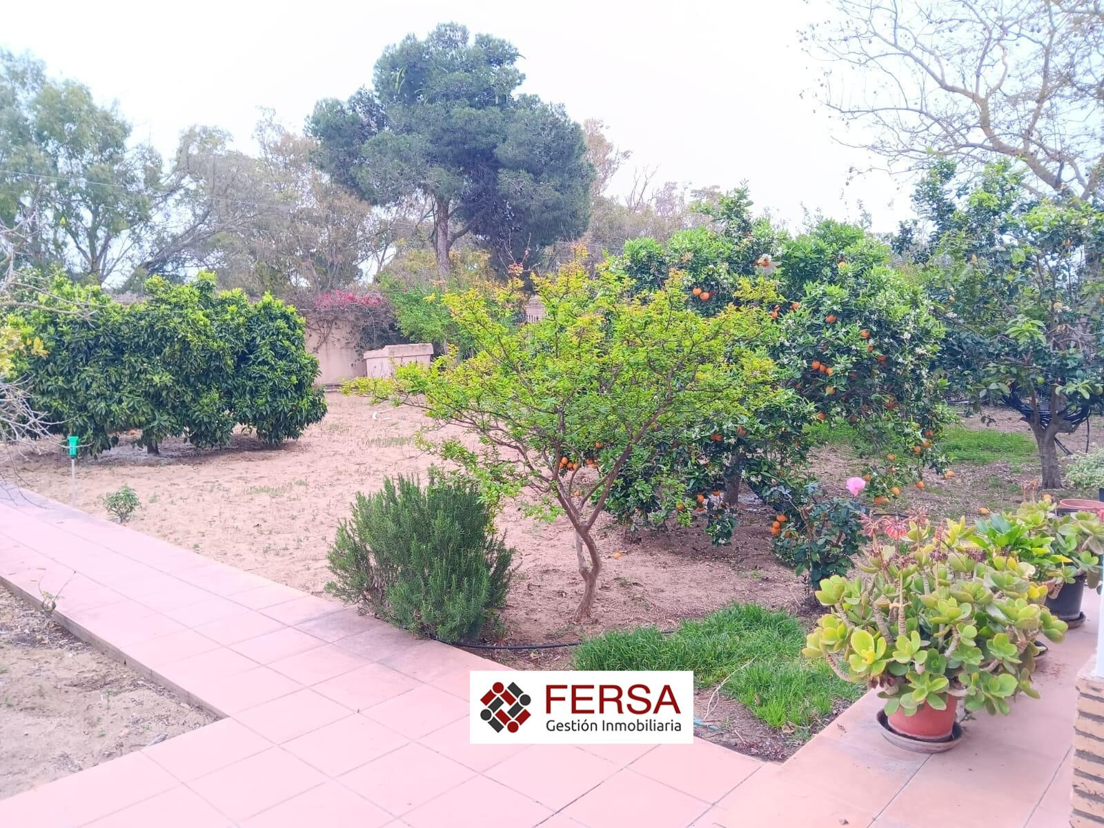 FERSA INMOBILIARIA VENDE EN EXCLUSIVA CASA CON GRAN PARCELA Y ARBOLES FRUTALES