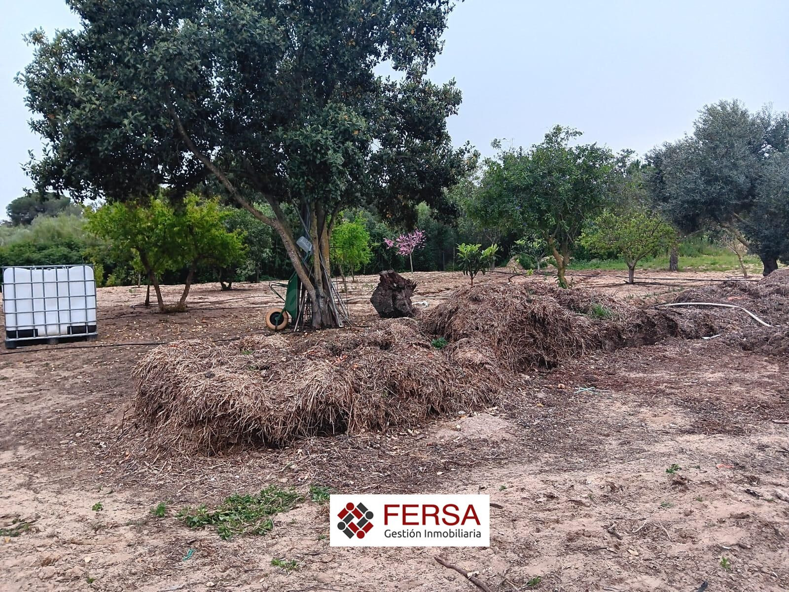 FERSA INMOBILIARIA VENDE EN EXCLUSIVA CASA CON GRAN PARCELA  - foto 2
