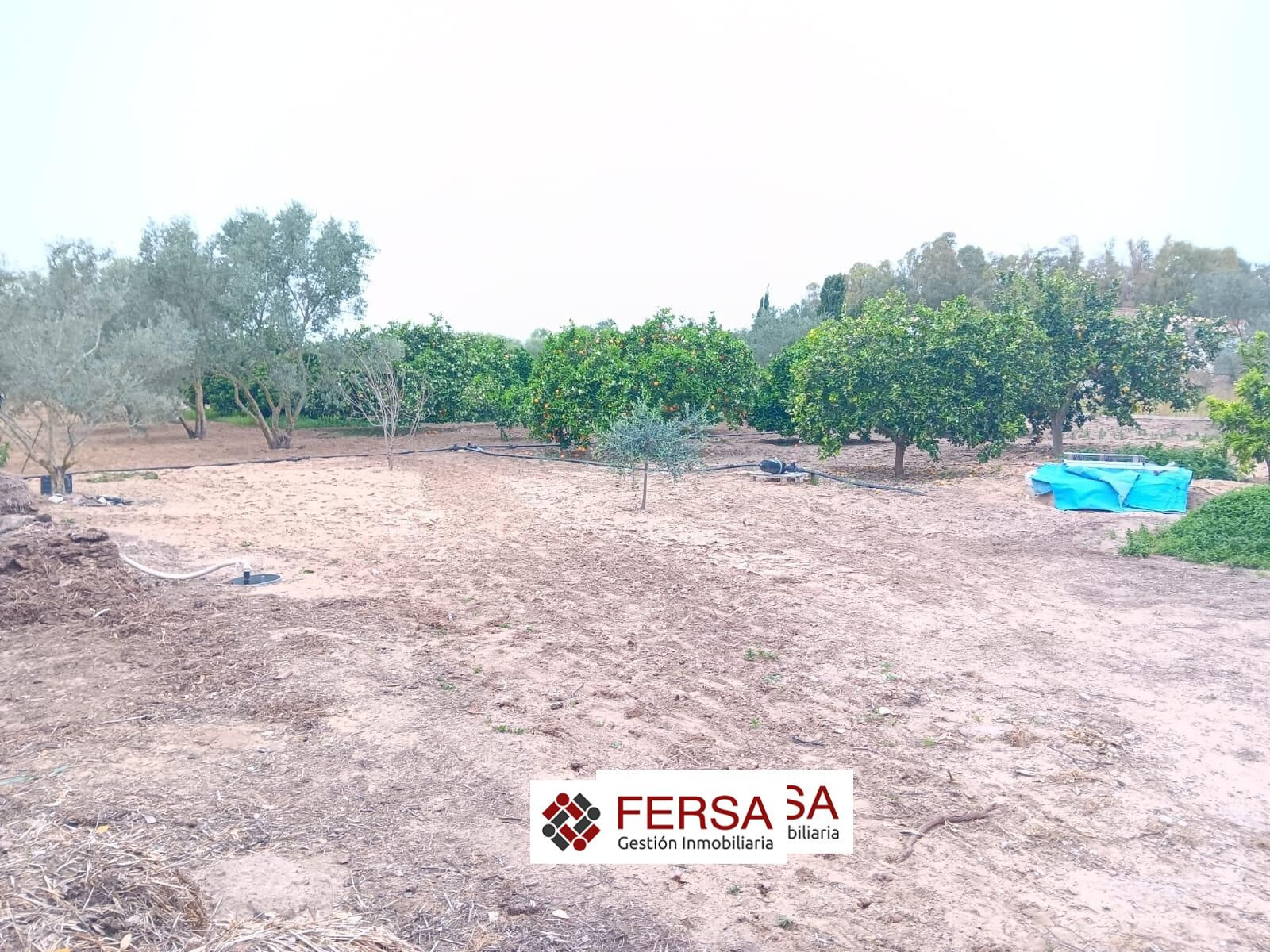 FERSA INMOBILIARIA VENDE EN EXCLUSIVA CASA CON GRAN PARCELA  - foto 4