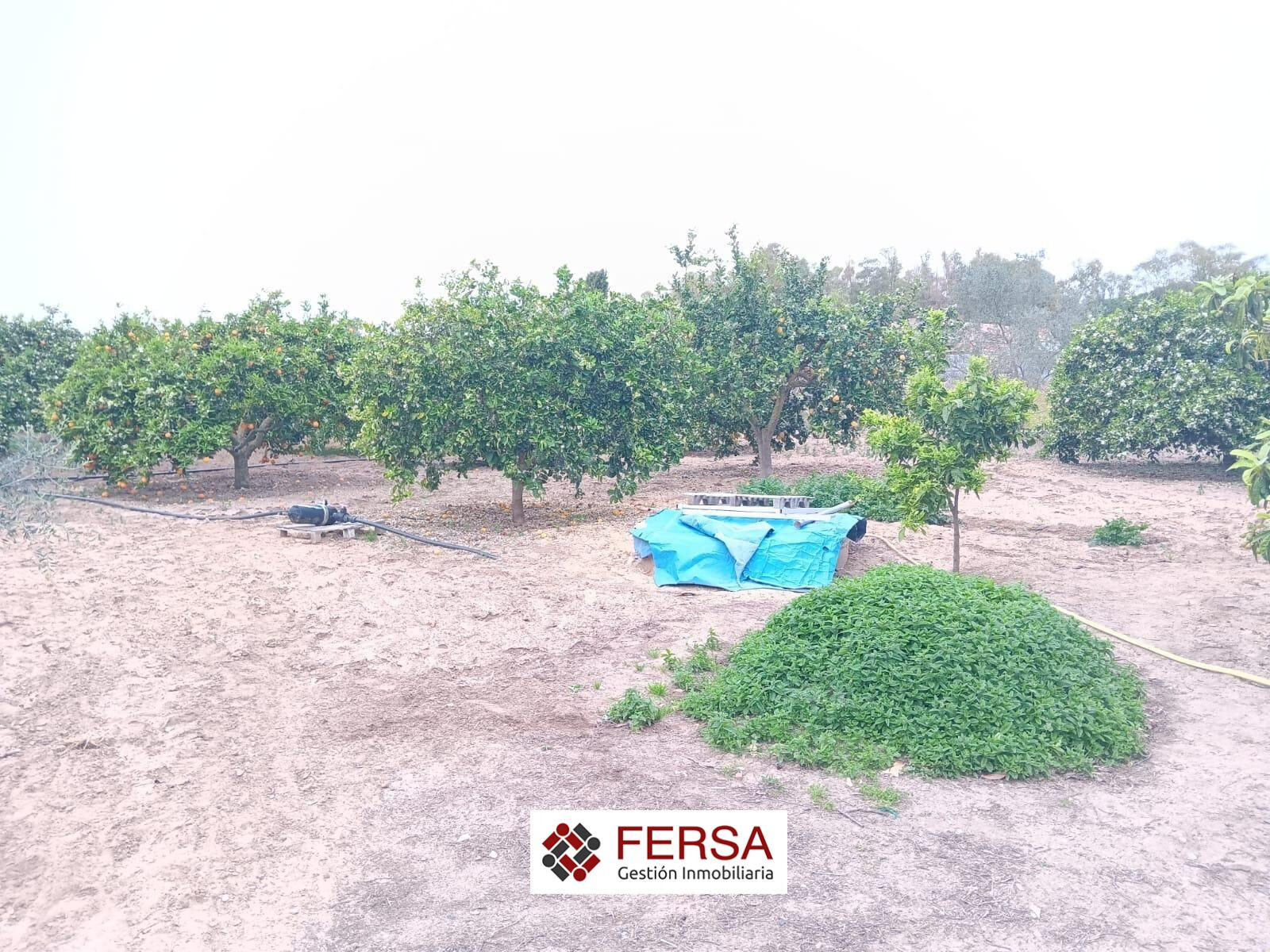 FERSA INMOBILIARIA VENDE EN EXCLUSIVA CASA CON GRAN PARCELA  - foto 5