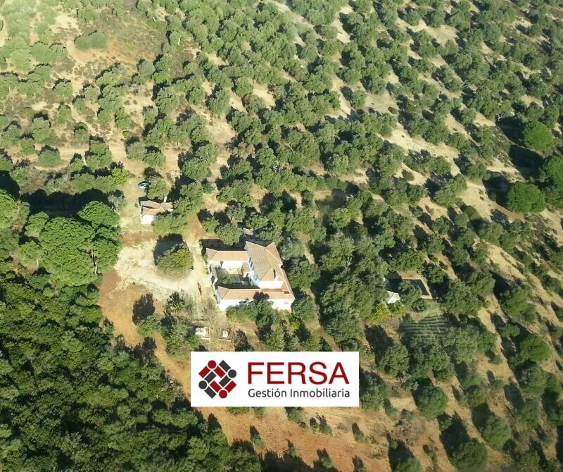 Finca de Recreo en Dehesa de Alcornoques – Arcos de la Front