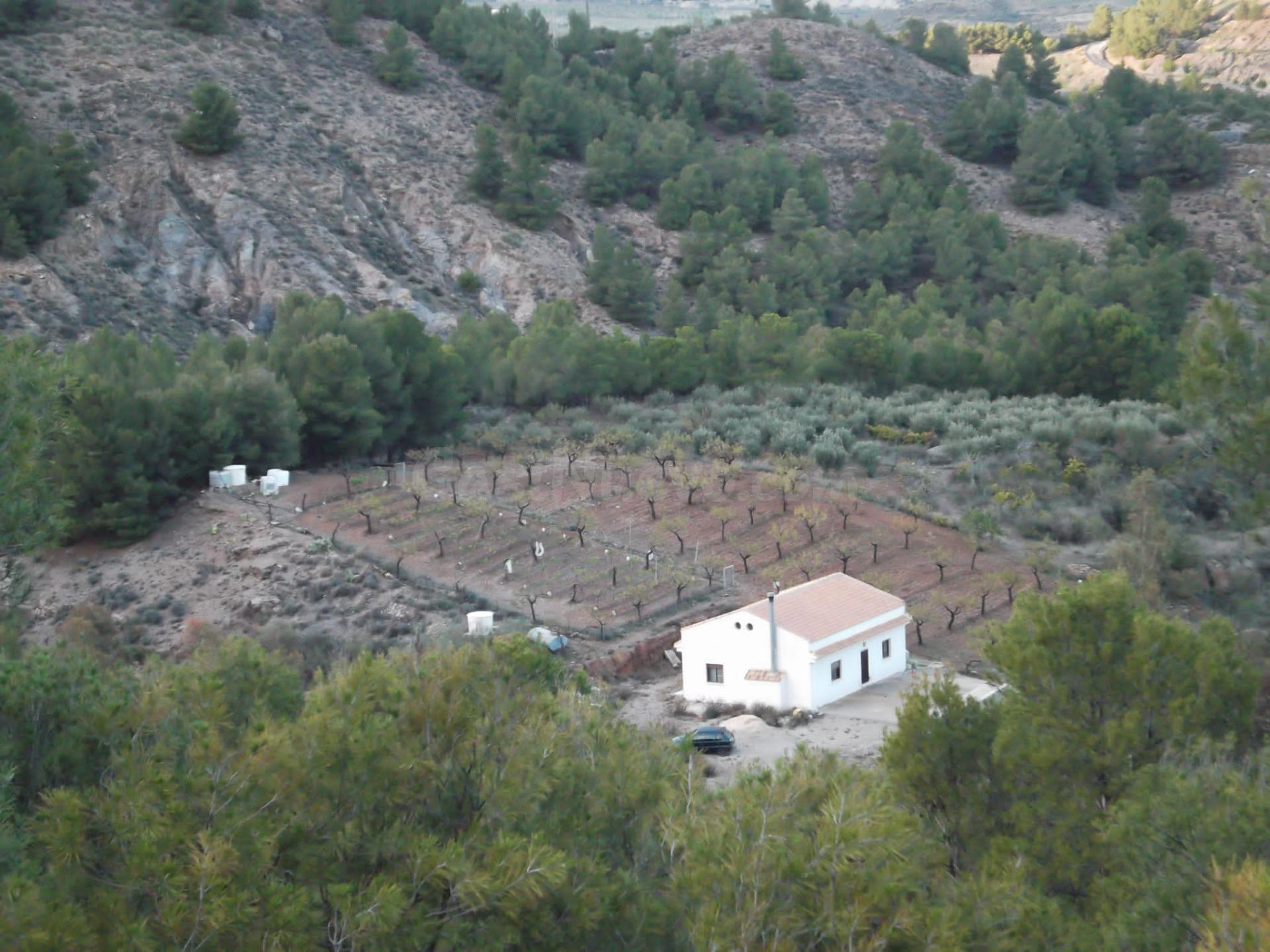 Casa de campo de nueva construcción con 8.000 m2 de terreno 