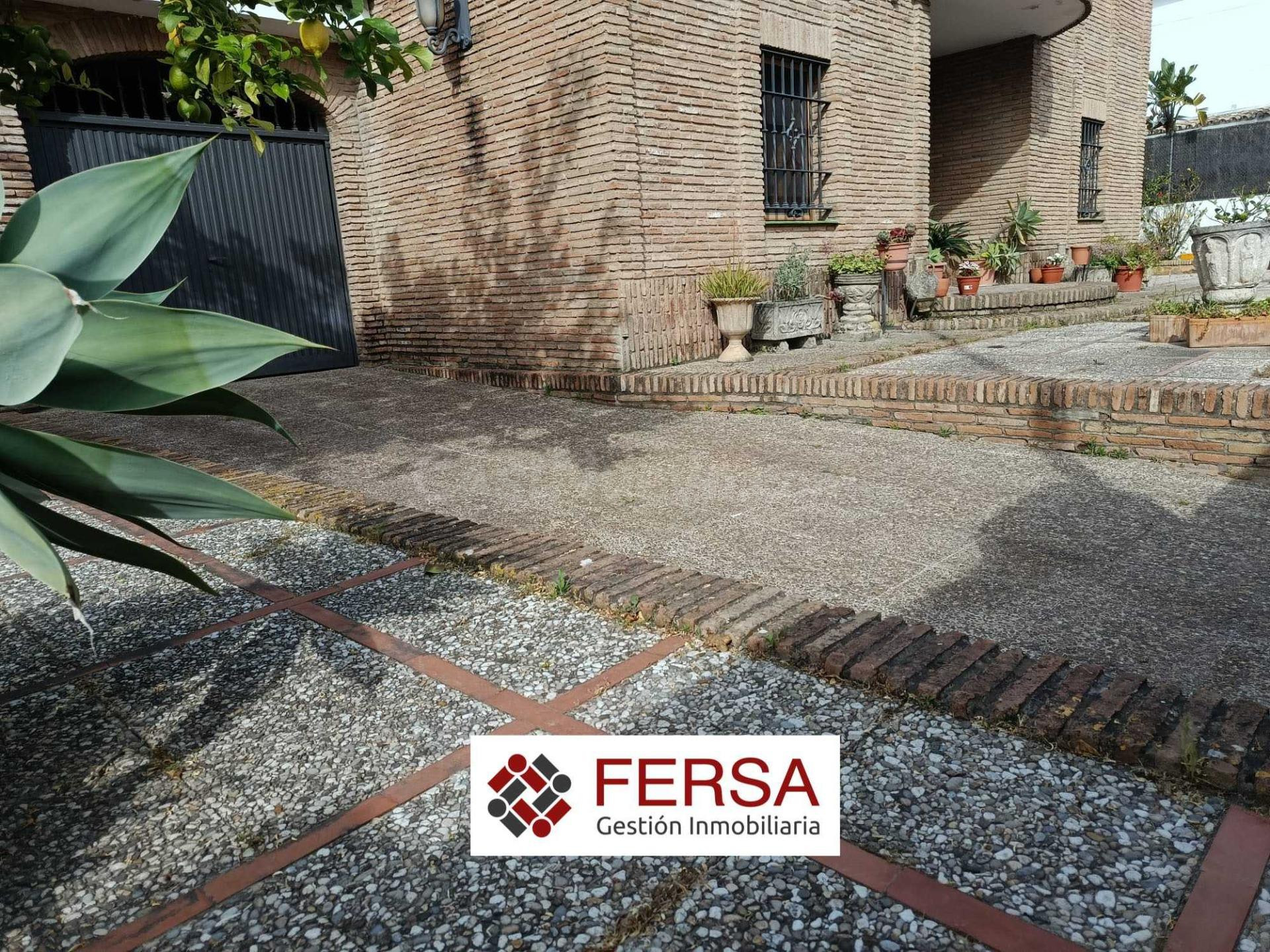 CHALET INDEPENDIENTE EN PINAR ALTO - foto 3