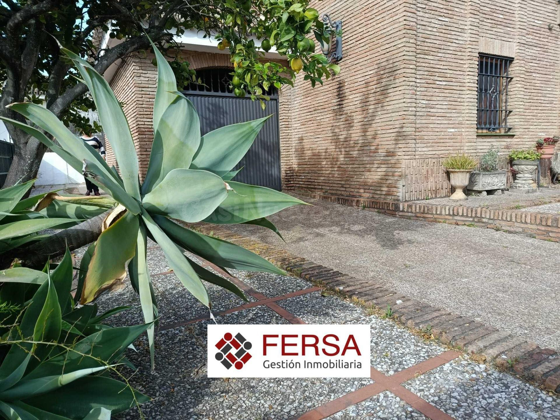 CHALET INDEPENDIENTE EN PINAR ALTO - foto 4