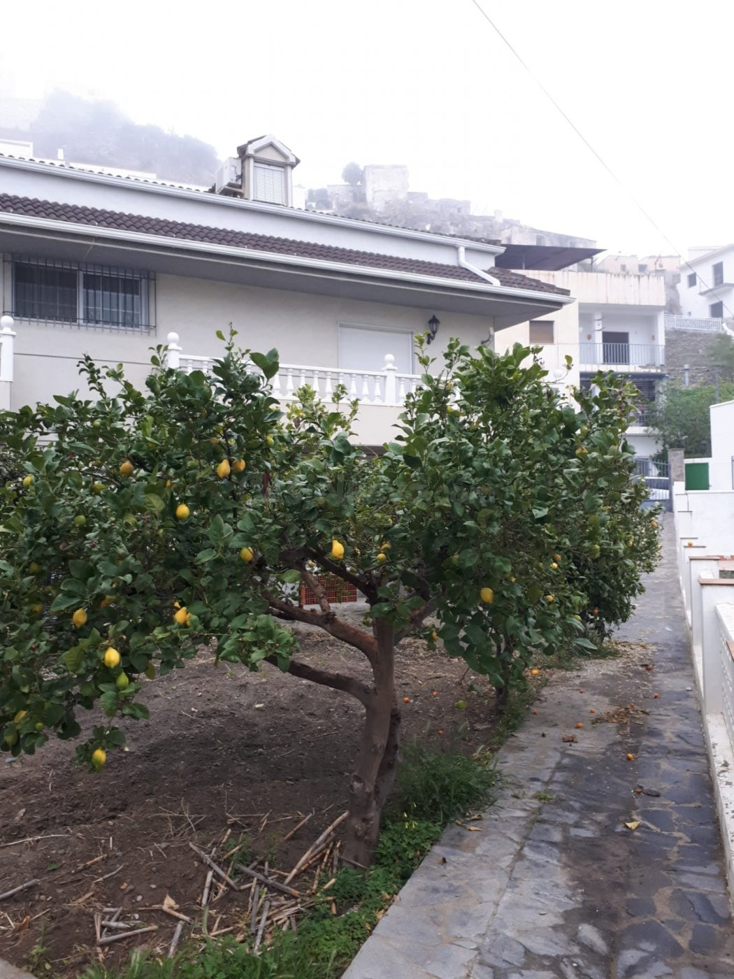 Casa familiar en Sierro , Almería. - foto 2