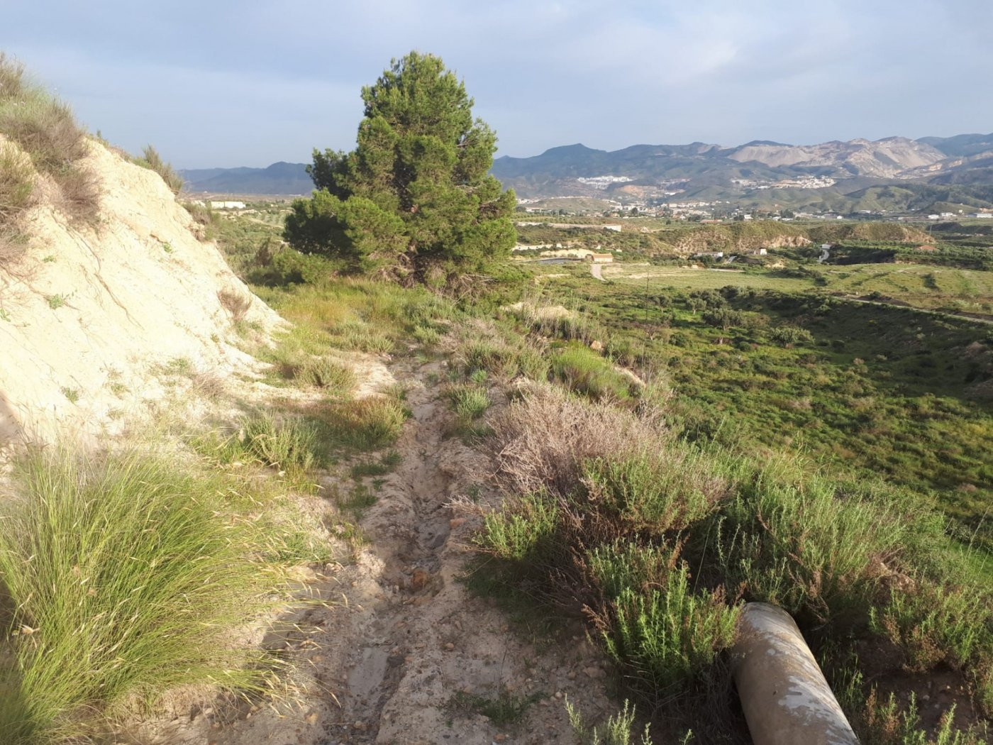 CORTIJO DERRUIDO CON TERRENO A REFORMAR EN URRÁCAL, ( ALMERÍ - foto 4