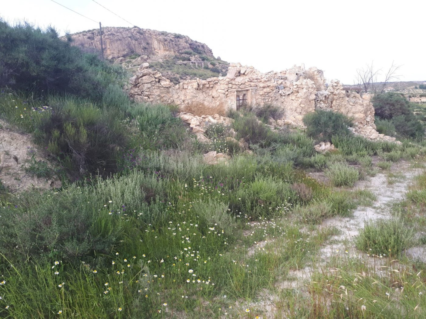 CORTIJO DERRUIDO CON TERRENO A REFORMAR EN URRÁCAL, ( ALMERÍ - foto 5