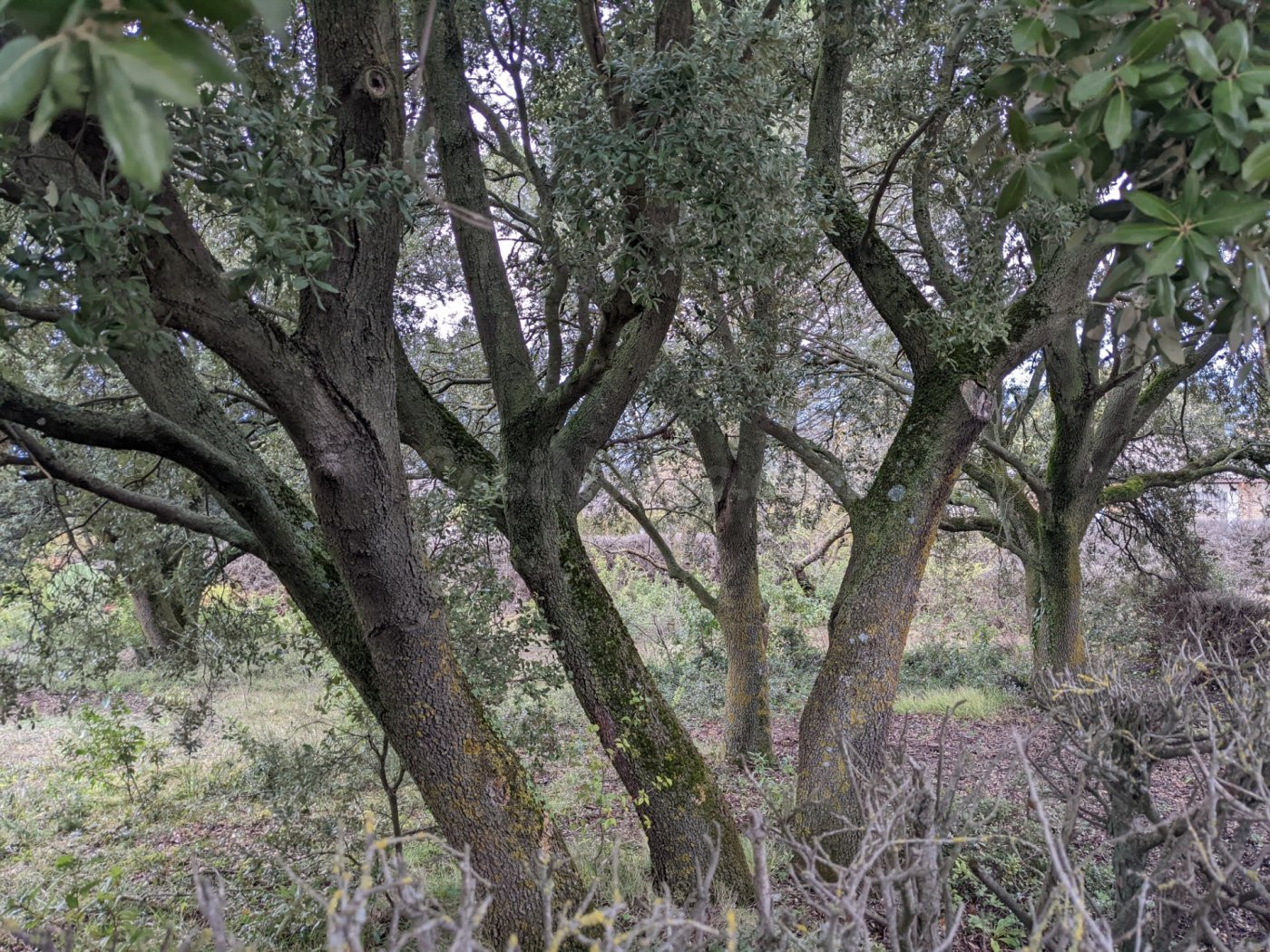 Venta de parcela en Ayegui ( Iratxe) - foto 4