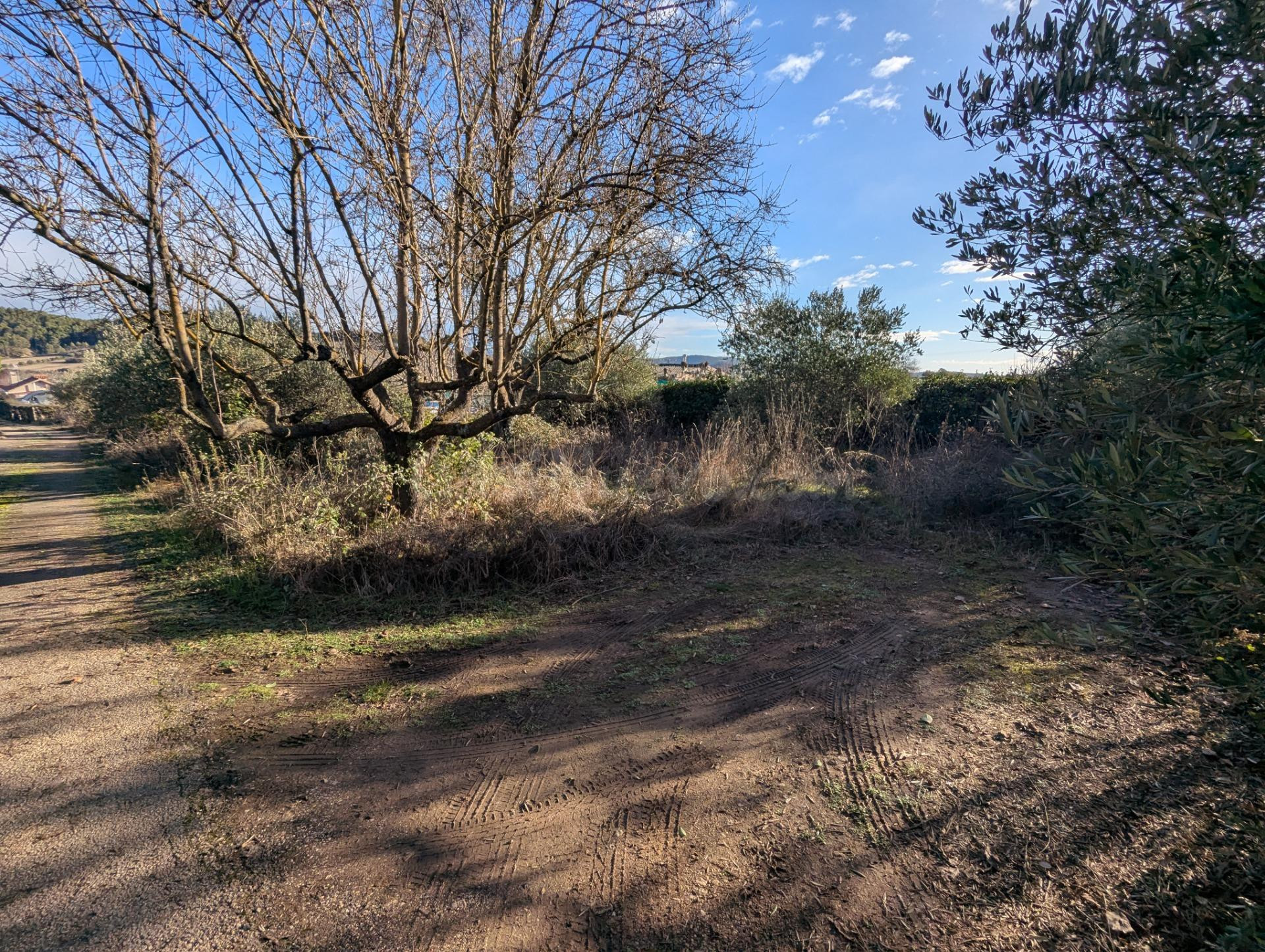 Finca rustica en  Estella