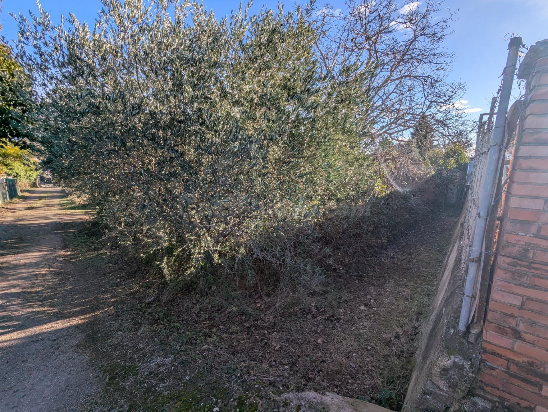 Finca rustica en  Estella - foto 2