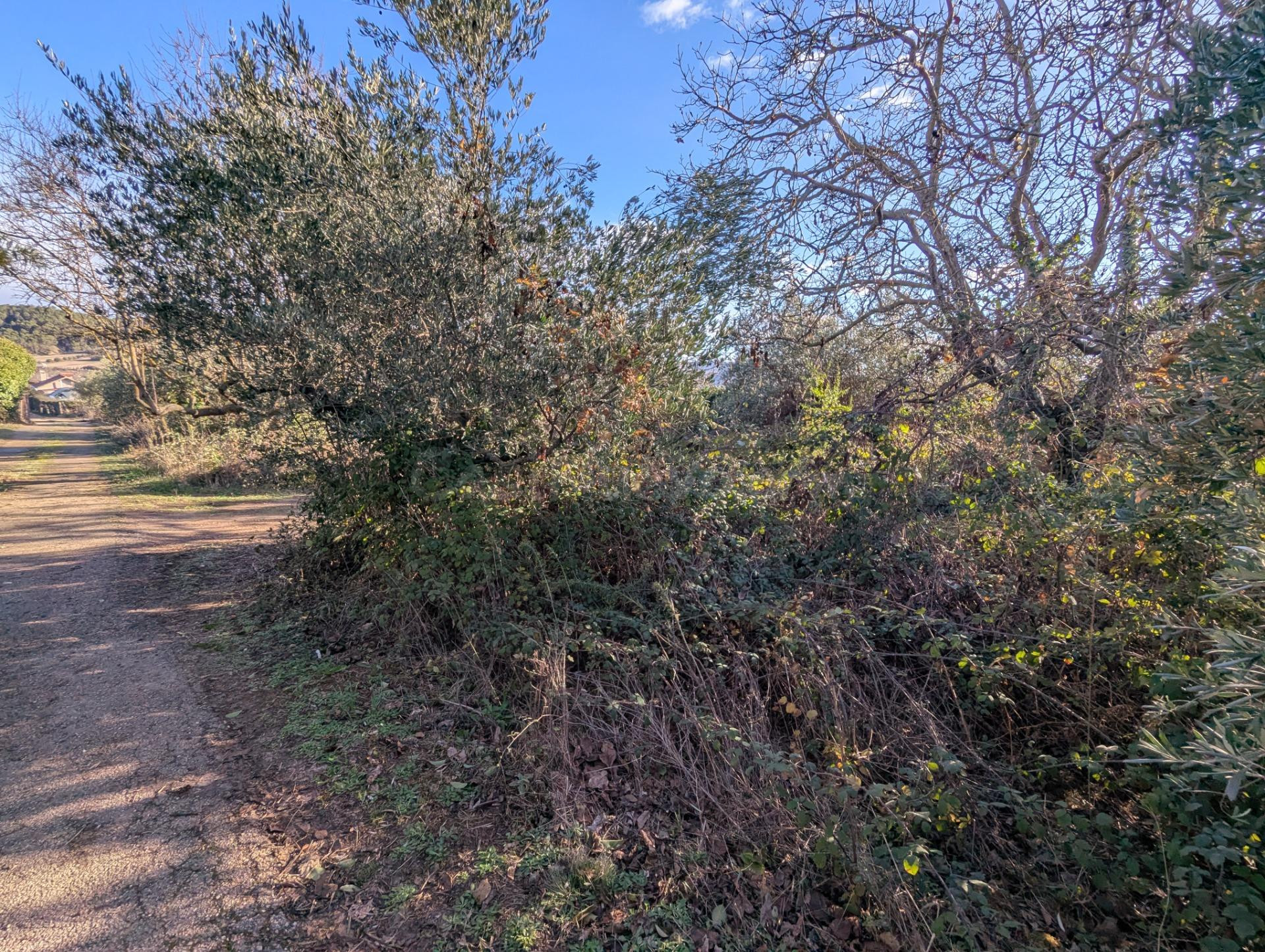 Finca rustica en  Estella - foto 4