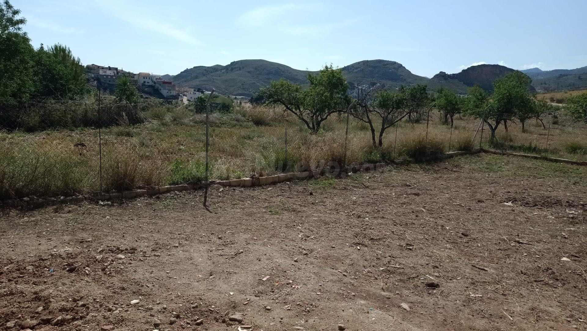 OLULA DEL RÍO ( ALMERÍA ). SOLAR URBANO.