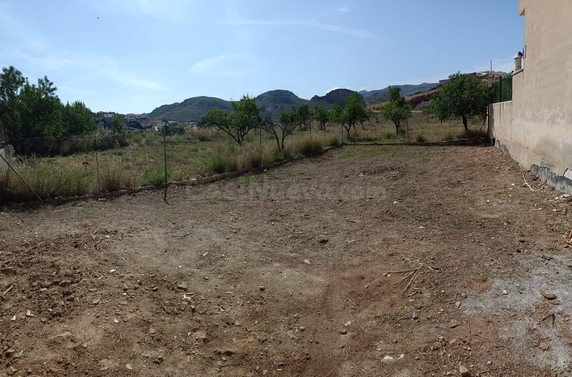 OLULA DEL RÍO ( ALMERÍA ). SOLAR URBANO. - foto 2