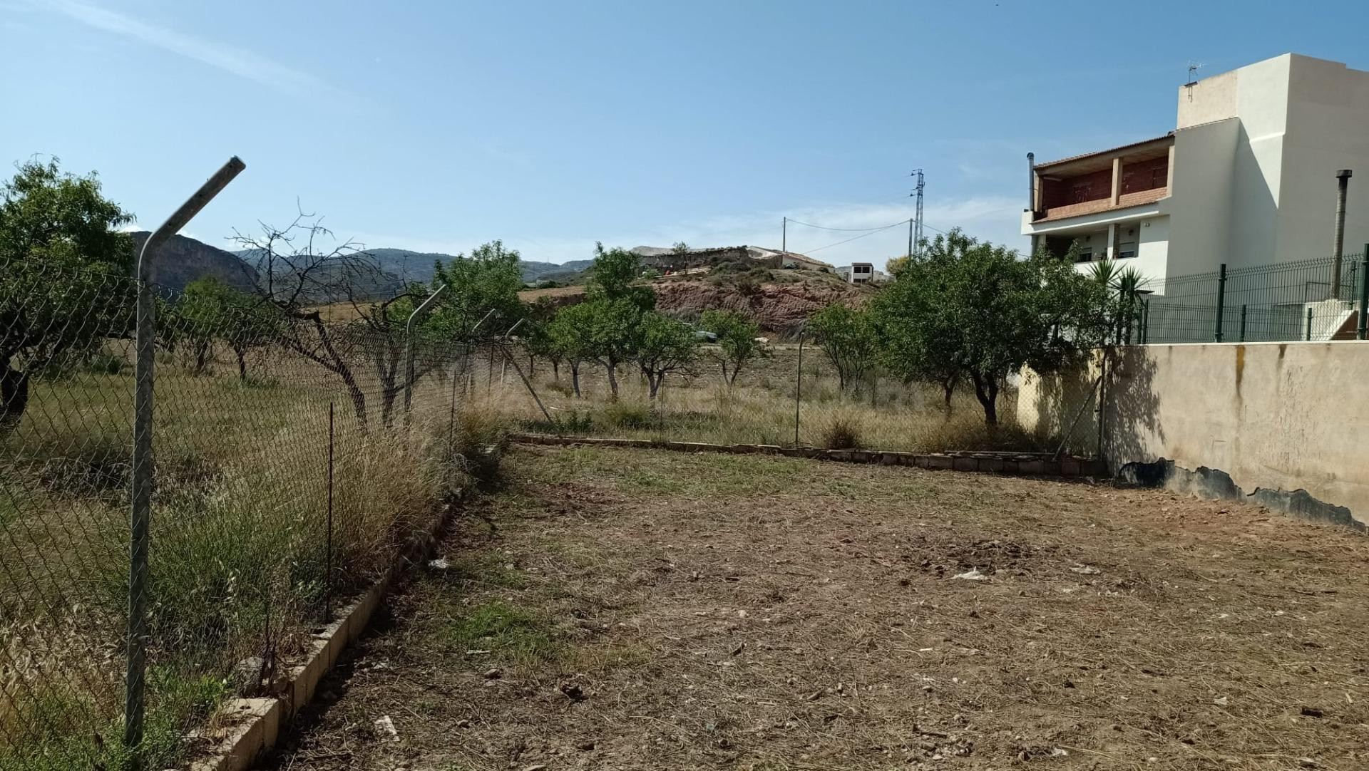 OLULA DEL RÍO ( ALMERÍA ). SOLAR URBANO. - foto 4