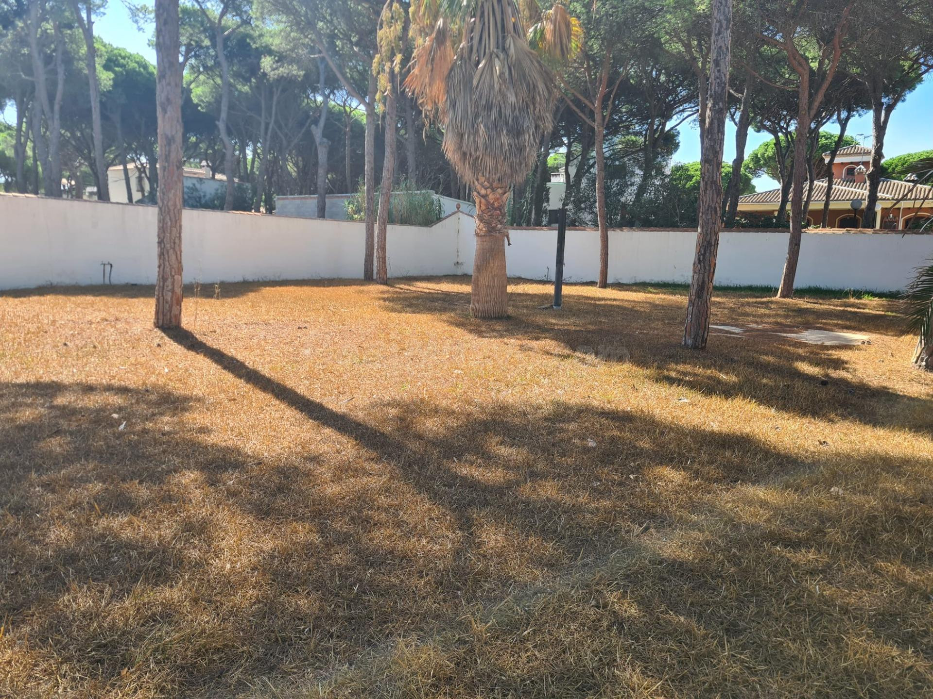 Parcela en la Playa de la Barrosa