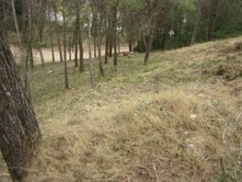 TERRENO VENTA EN PIERA 577M2 LLANO CON SERVICIOS