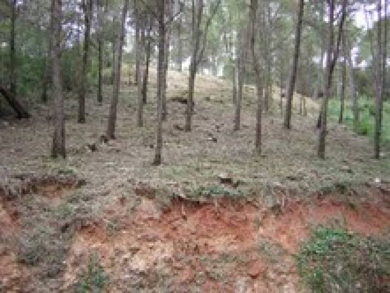 TERRENO VENTA EN PIERA 577M2 LLANO CON SERVICIOS - foto 2