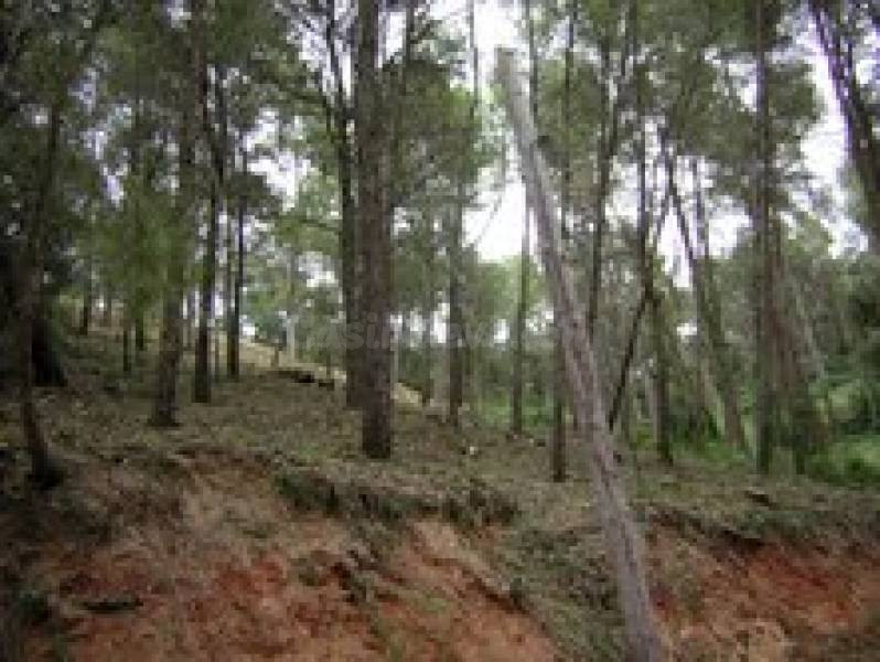 TERRENO VENTA EN PIERA 577M2 LLANO CON SERVICIOS - foto 5