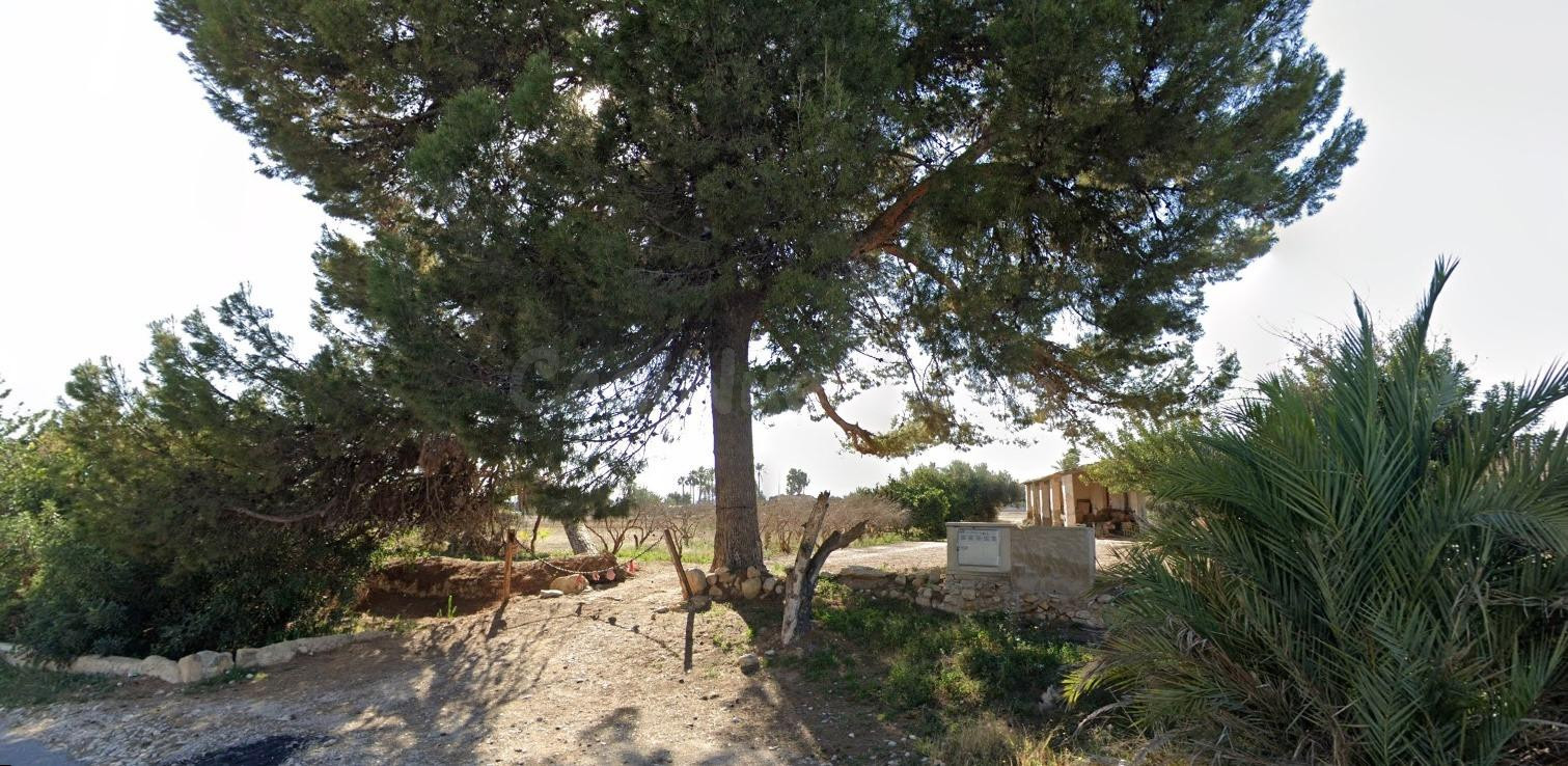 Finca de 9.917 m2 con vivienda de 277 m2 para reformar en la