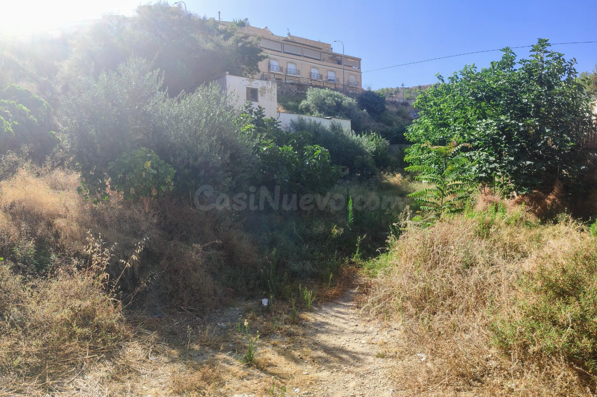 MACAEL ( ALMERÍA ). PARCELA URBANIZABLE. - foto 4