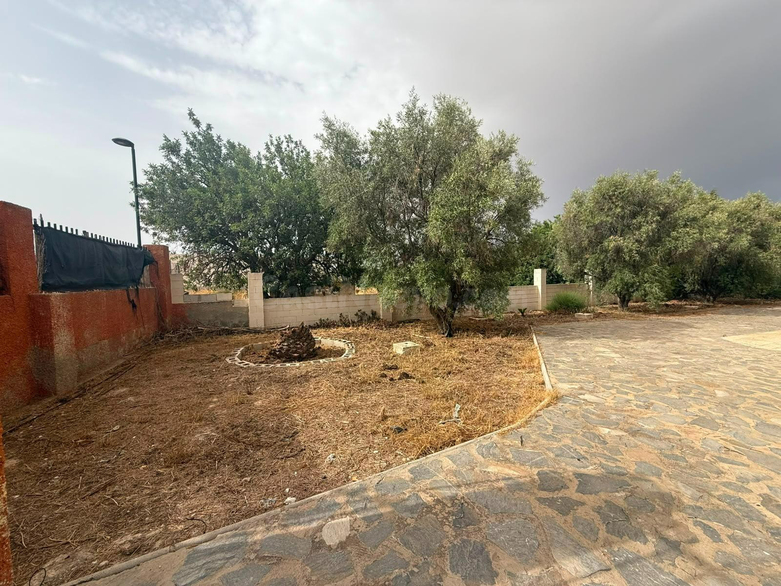 Chalet en San Vicente del Raspeig - Los Girasoles - foto 3