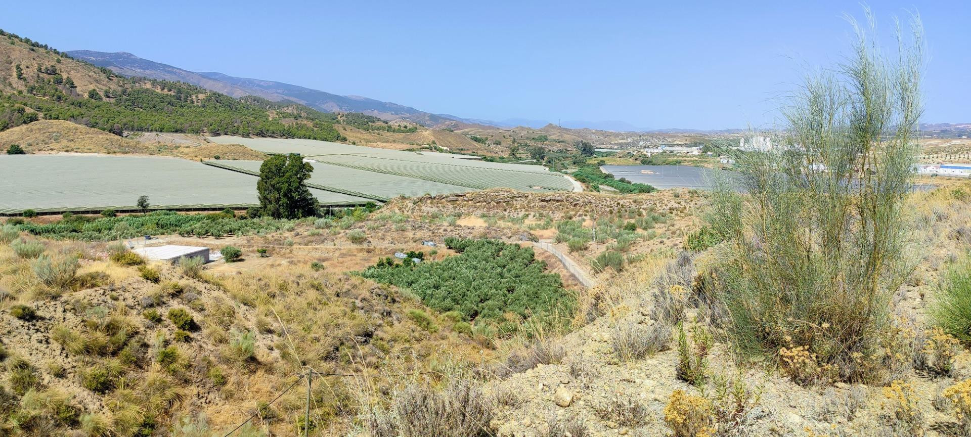 VENTA EN OLULA DEL RÍO ( ALMERÍA ). DE PARCELA INDUSTRIAL.