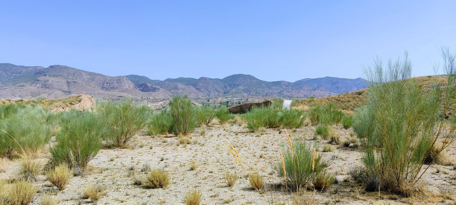 VENTA EN OLULA DEL RÍO ( ALMERÍA ). DE PARCELA INDUSTRIAL. - foto 3