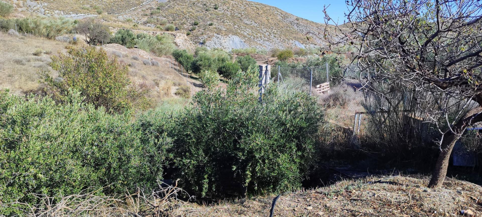 MACAEL ( ALMERÍA ). VENTA DE CASA DE CAMPO DE UNA PLANTA CON - foto 5