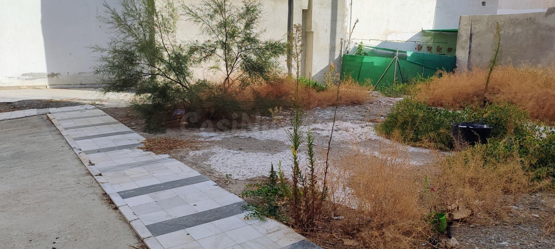 OLULA DEL RÍO ( ALMERÍA ). SOLAR URBANO CÉNTRICO . - foto 2
