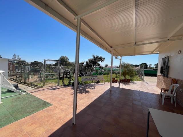 FINCA RUSTICA EN LA PUEBLA DEL RIO, ZONA LA PILARICA - foto 2