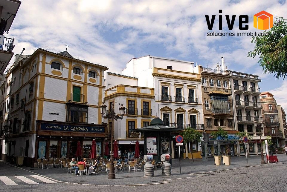 EDIFICIO SINGULAR CON LOCAL COMERCIAL EN PLENO CENTRO DE SEV - foto 4