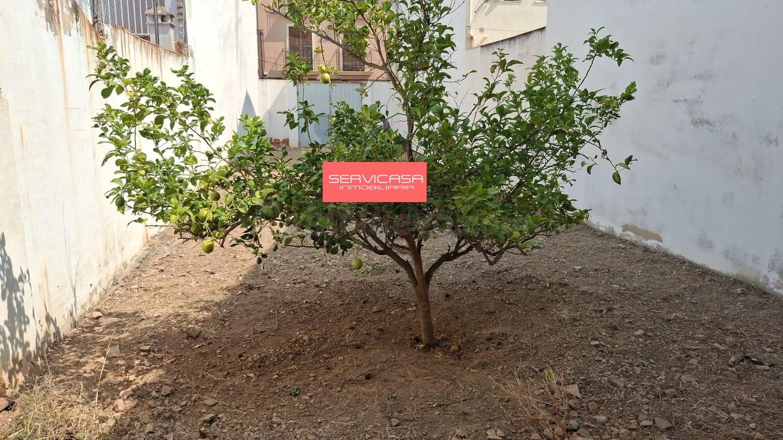 Solar Residencial en Quart de Poblet. - foto 4