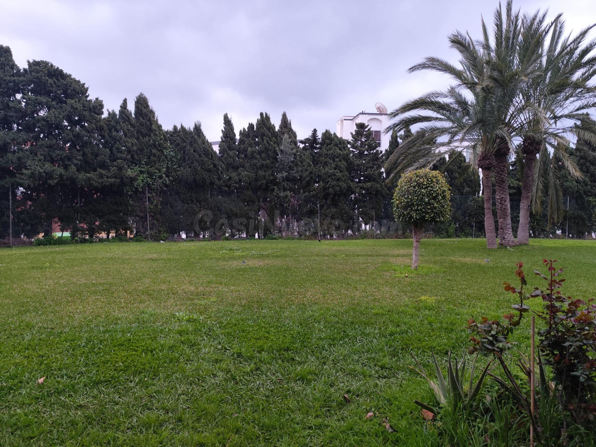 Acogedora Planta Baja Reformada en La Colina, Torremolinos - foto 5