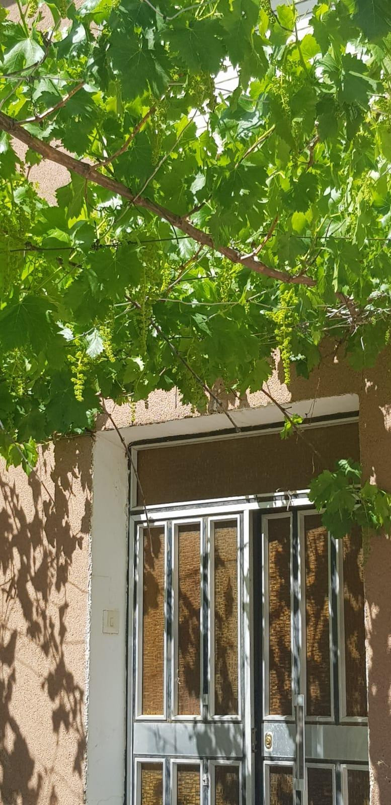 SERÓN ALMERÍA BARRIADA LOS RASPAJOS. VENTA DE CASA DE CAMPO  - foto 2