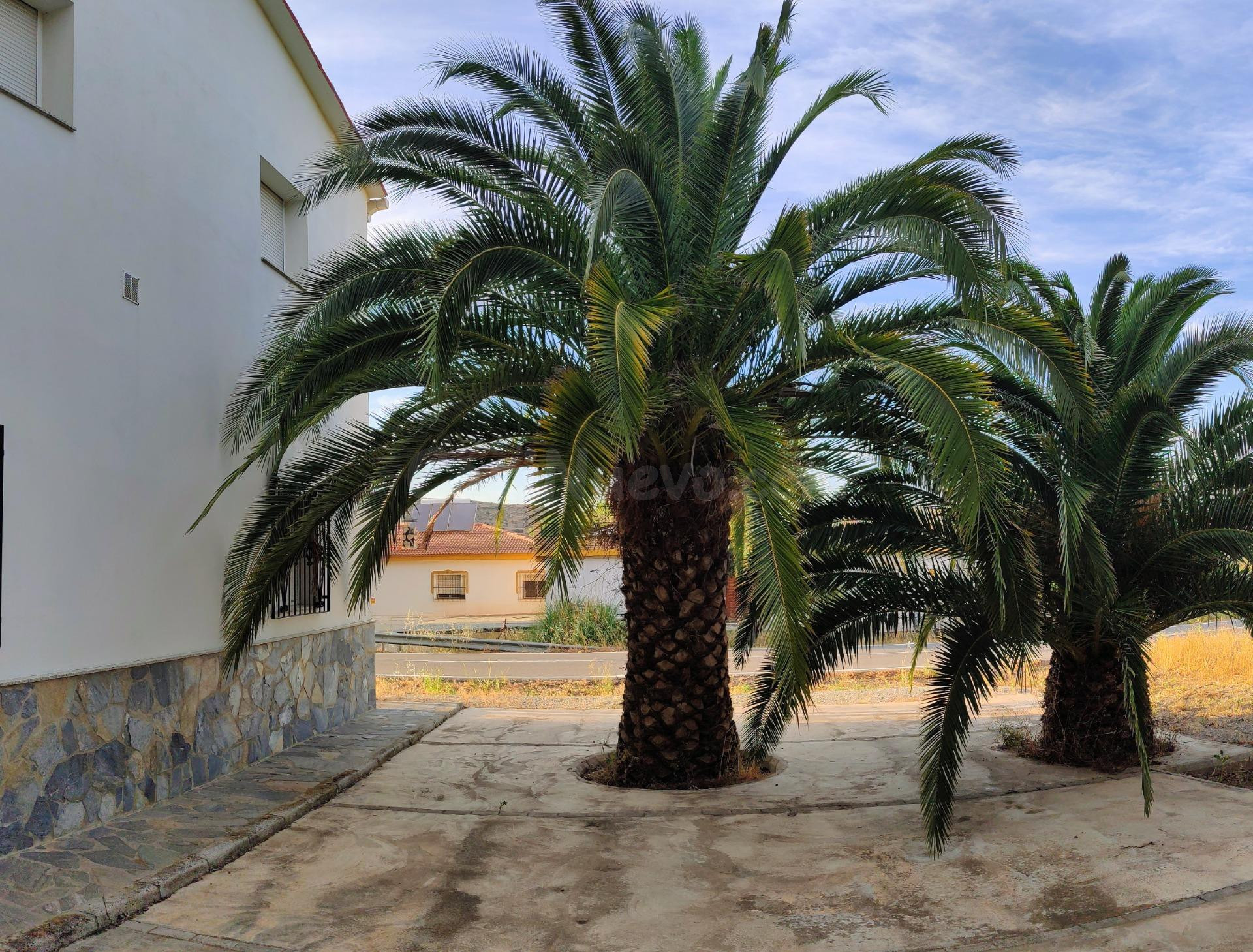 EN SERÓN , ALMERÍA. VENTA DE CASA CON 4 DORMITORIOS Y PLANTA - foto 4