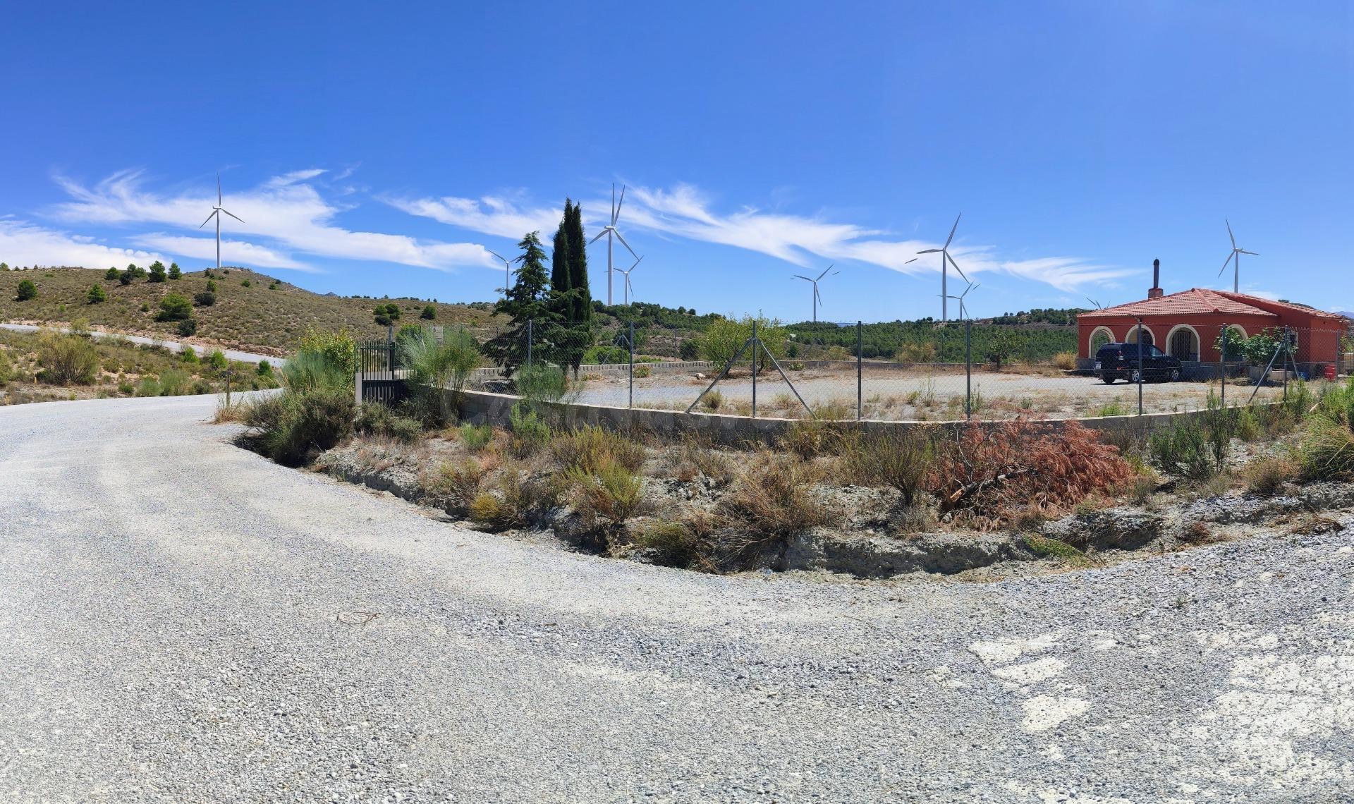 FINCA RÚSTICA DE 120000 METROS CON CASA, 70 OLIVOS Y PLACAS 