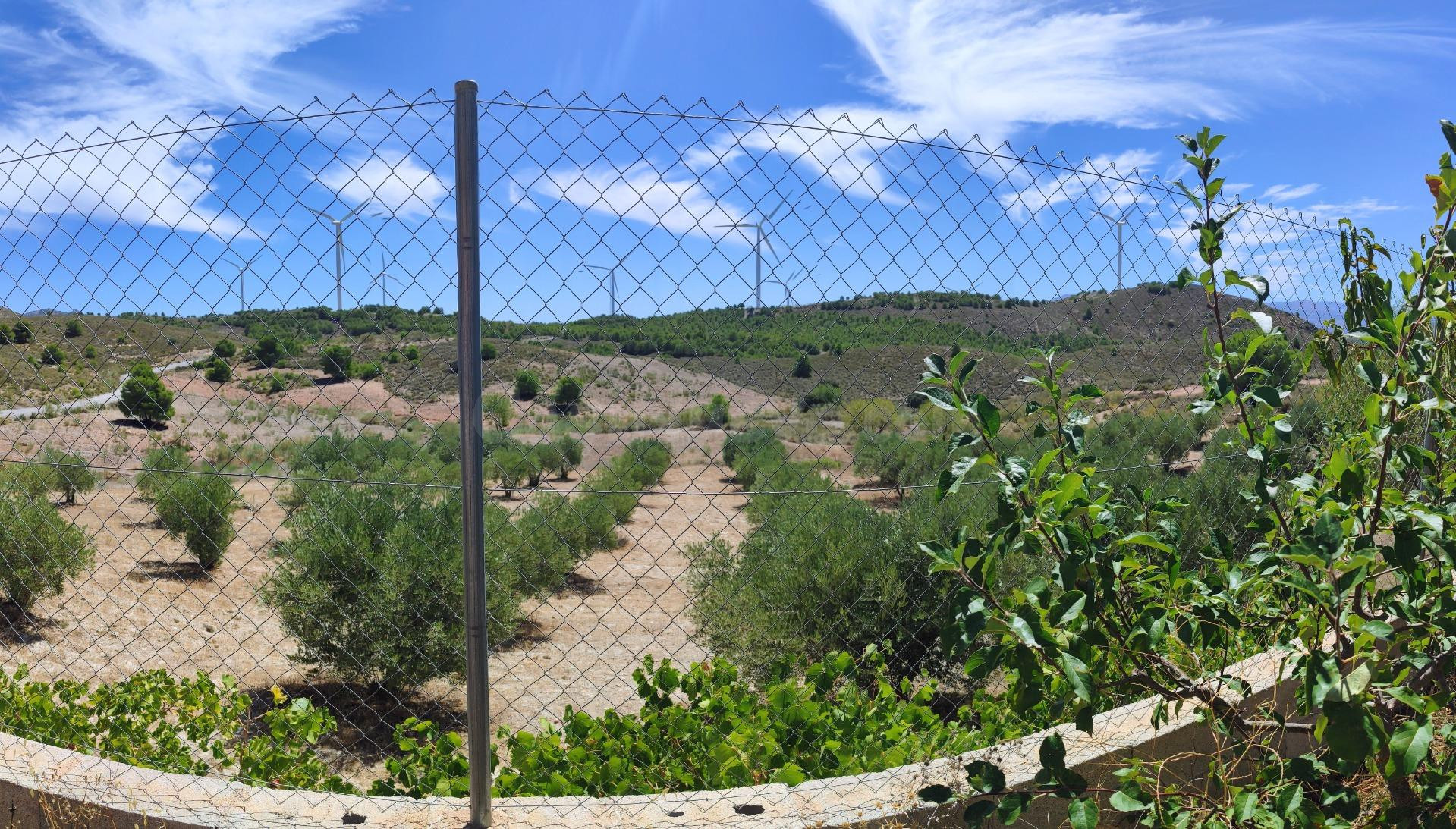 FINCA RÚSTICA DE 120000 METROS CON CASA, 70 OLIVOS Y PLACAS  - foto 4