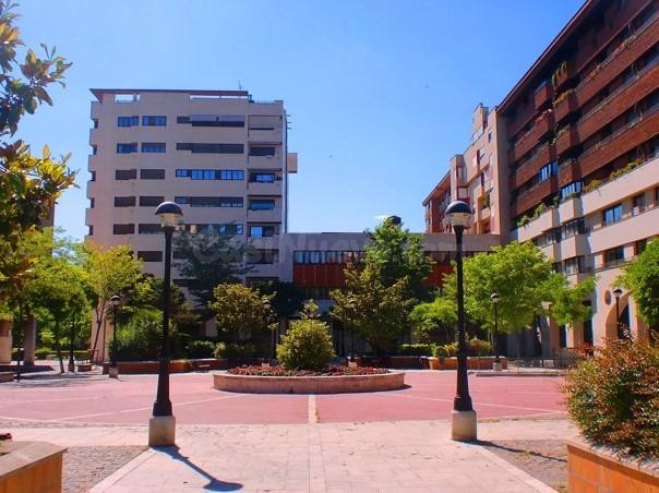 Oficina 2110m² en venta - Paseo Zorrilla - foto 2